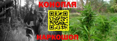 дмт Краснодар