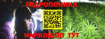 дмт Краснодар