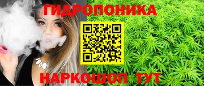 дмт Краснодар