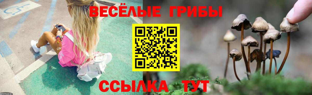 Кострома  Псилоцибиновые грибы мухоморы  Вход с VPN 